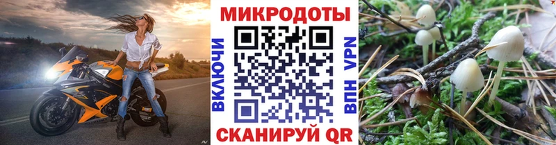 ссылка на мегу маркетплейс  Асино  Галлюциногенные грибы мицелий 